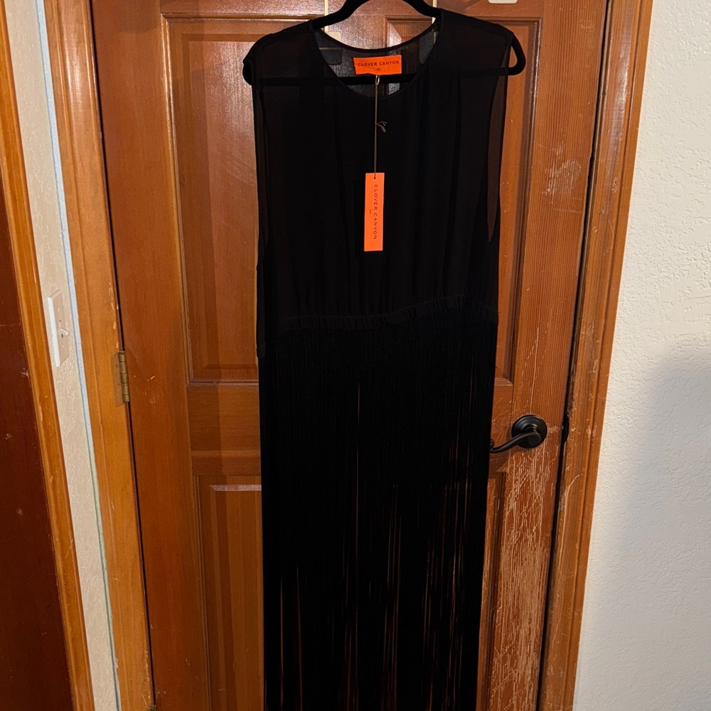 Sheer black top with fringe detail to the floor